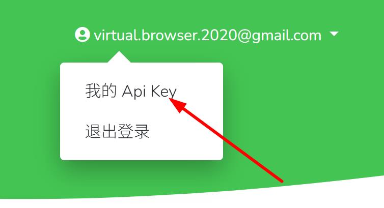 我的 Api Key